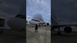 ¡EL AVIÓN que TRANSPORTA aviones! EL MÁS GRANDE DEL MUNDO. #Shorts #AirbusBeluga