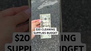 Buying cleaning supplies with a $20 budget at ​⁠@dollartree #dollartreefinds #dollartreehaul