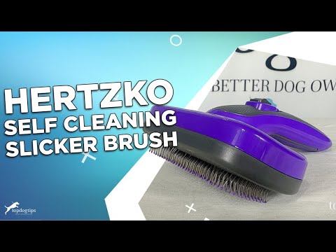 Review: Hertzko Self Cleaning Slicker Brush