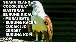 Download lagu SUARA ELANG EFEKTIF BUAT MASTERAN mp3