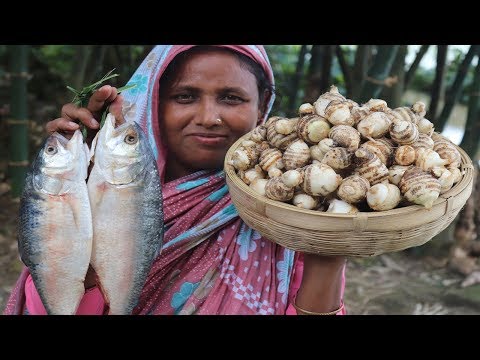 FARM FRESH TARO ROOT RECIPE Most Healthy Cooking Hilsha With Fresh Taro Root Curry VILLAGE FOOD Video
