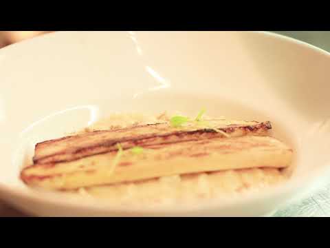 Ciao Terrazza Introduction