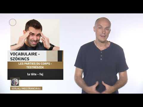 Szólalj meg! – franciául, 2017. augusztus 29.