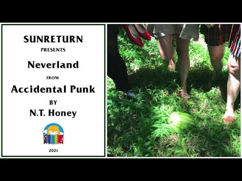 N. T. Honey - Neverland