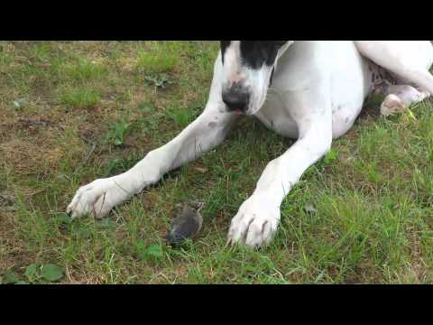 Otis gets a peck on the cheek