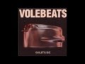 Volebeats  Desert Song