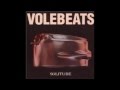 Volebeats  Desert Song