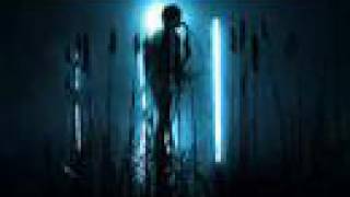 Lillies and remains  - Moralist S.S.