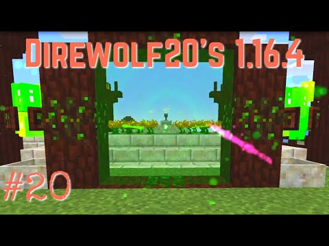 Direwolf20 1.16 Ep 20 - Pylons & Portals