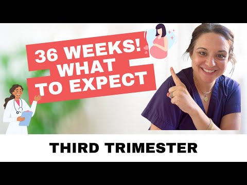 What to expect at your 36 week prenatal appointment?