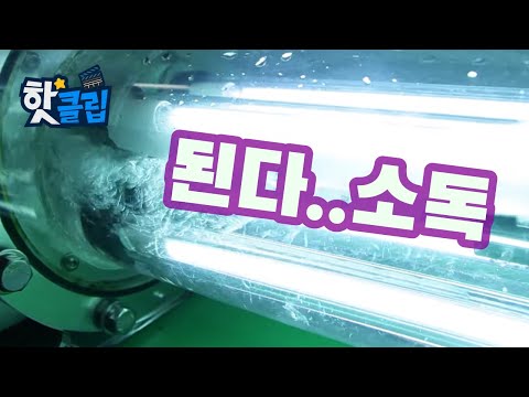 , title : '빛으로 물을 소독한다? [핫클립] / YTN 사이언스'