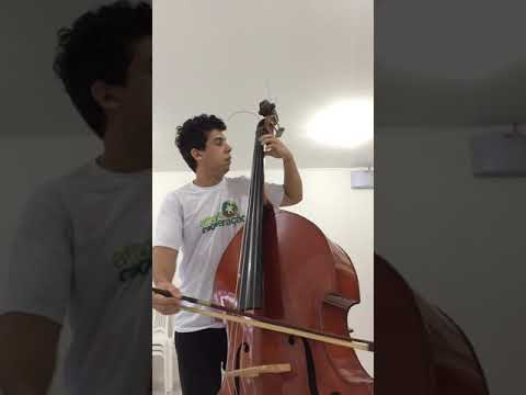 Ernst Mahle As Melodias de Cecília N. 1 - Allegro (Passeio do Urso)  Contrabaixo Acústico