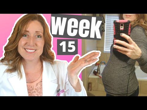 15 Week Pregnant and What to Expect |  When Do you Start to Show