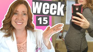 15 Week Pregnant and What to Expect |  When Do you Start to Show