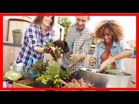 5 Ideen für einen schönen Minigarten