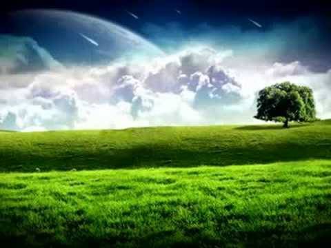 nubbinownz - These Mistakes are Mine Alone