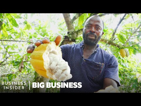 , title : 'Ghana Grows Our Cocoa, So Why Can’t It Make Chocolate? | Big Business'