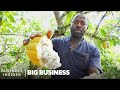 Ghana Grows Our Cocoa So Why Can T It Make Chocolate Big Business