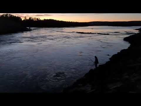 Laxdrill Bergeforsen Södra 2020