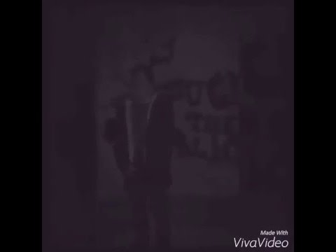 Schaerbeek-frestayle