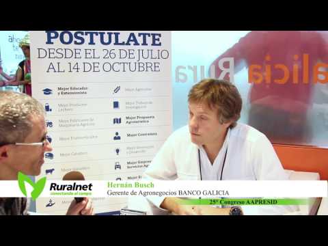 Ruralnet | Hernán Busch, Gerente de Negocios Agropecuarios del Banco Galicia