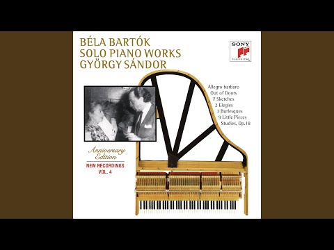 Sz. 81 No. 2 Piano Performance Video