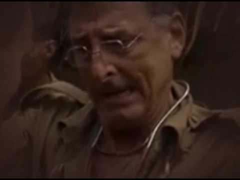 Droga do wolności  Polski dubbing