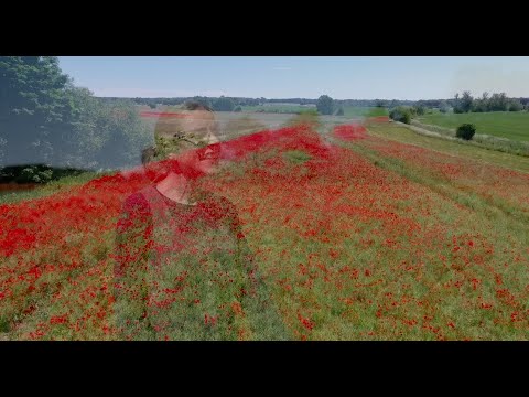 Beathe Krueger - Bed, så skal der gives jer