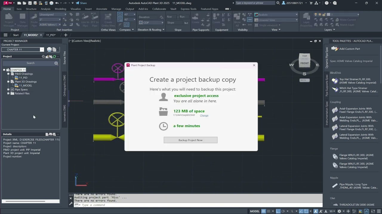 AutoCAD Plant 3D Audit and Backup: Essential Database Maintenance for ...