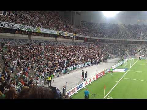 Hammarbyklackens ramsor (nr 12)