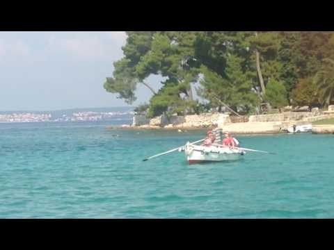 Sime barkarijol Skoljic Preko