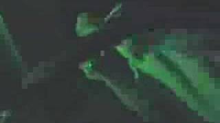 The Butterfly Effect - Crave (Live)