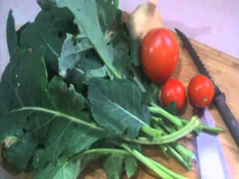 Minding Your Mitochondria  Dr. Terry Wahls at TEDxIowaCity