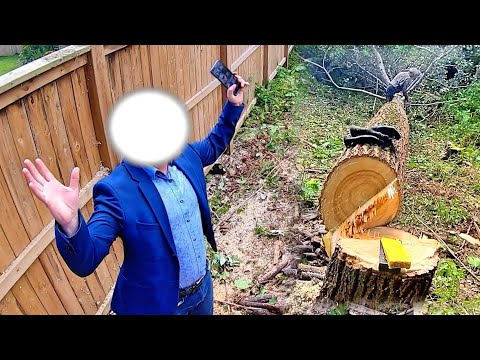 Neighbour FREAKS OUT after Trees Cut Down