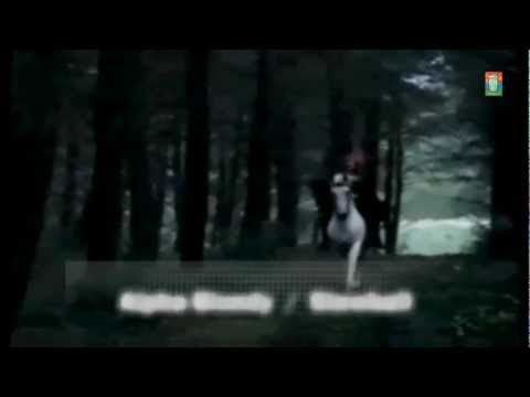 Alpha Blondy - Stewball