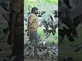 Life Of Ram Video Song Whatsappstatus Vijay Sethupathi 96 Movie Travel Songs Shorts