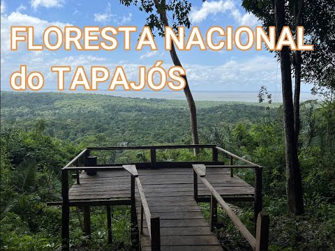 FLORESTA NACIONAL do TAPAJÓS   #tapajós #alterdochao #amazônia