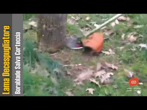 Borablade Lama per Decespugliatore Salvacorteccia