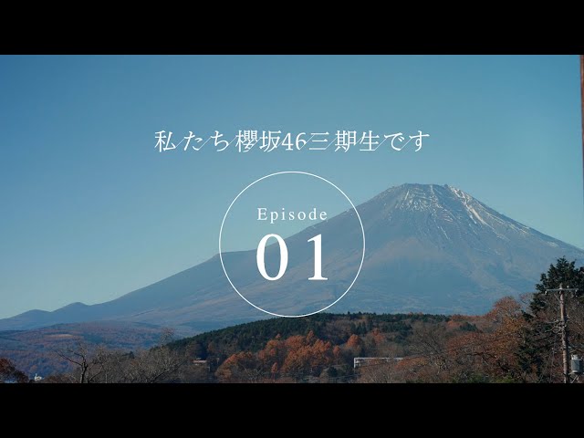 櫻坂46、新曲『桜月』MV解禁! 新センター守屋麗奈が彩る桜舞う映像美に注目! 8 YouTubeサムネイル