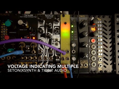 Voltage Indicating Multiple - Eurorack - Modular synth - 4HP 3U image 12