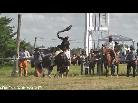 VIDEO  SEDE CLUB ARTIGAS SARANDI DE CUADRA 2024
