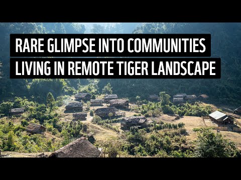 Communities and tiger conservation in remote Myanmar | WWF-Myanmar
