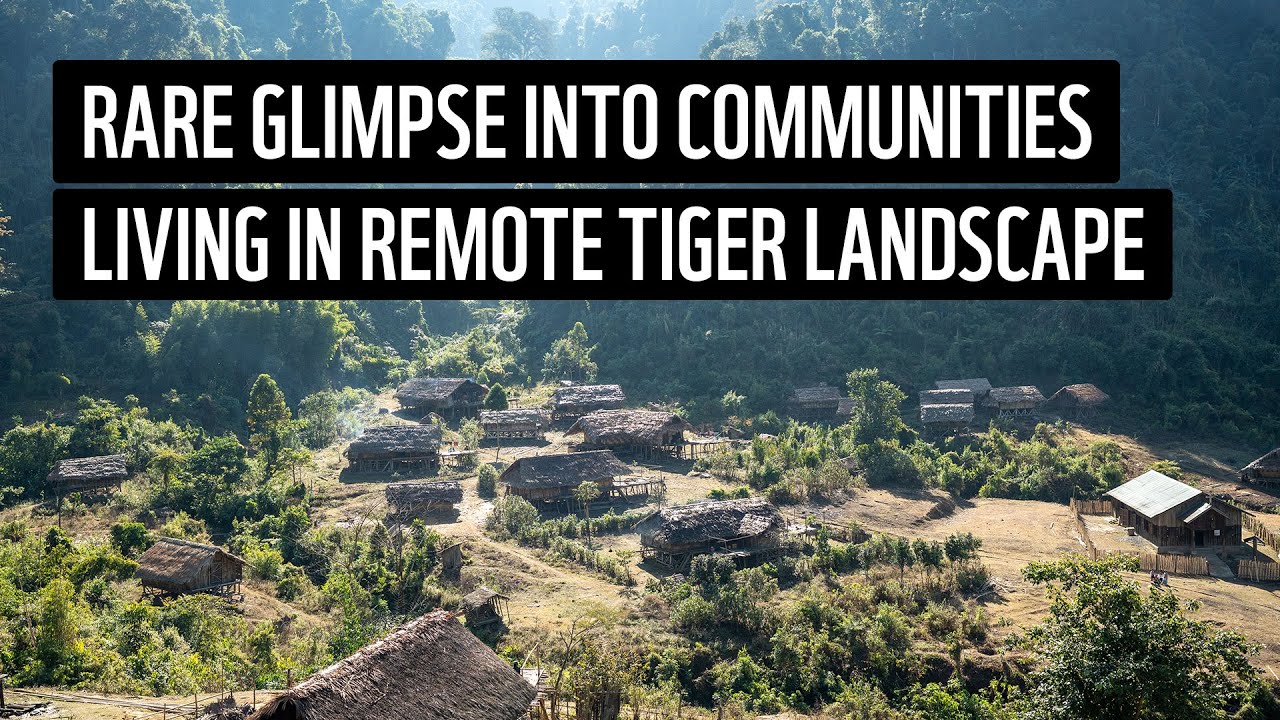 Communities and tiger conservation in remote Myanmar | WWF-Myanmar
