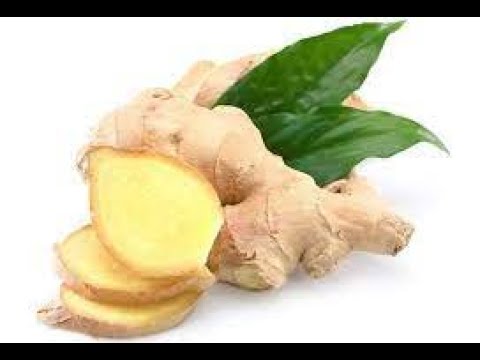 ĐUMBIR- Lek za hiljadu bolesti