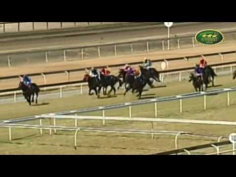 WINTER STAR : 2012 READY TO RUN GRADUATE