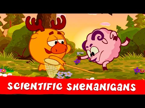 KikoRiki 2D | Scientific Shenanigans 🧪 Best episodes collection | Cartoon for Kids