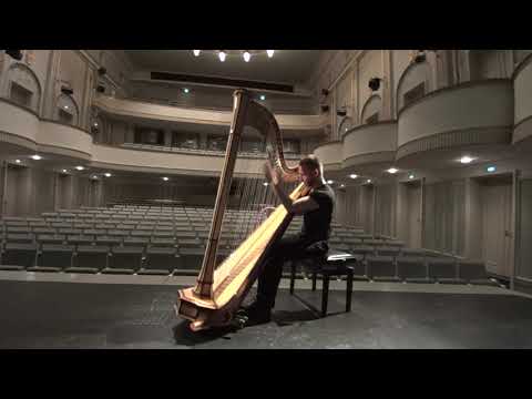 Pearl Chertok - Around the clock: harpicide at midnight + the morning after - Joel von Lerber