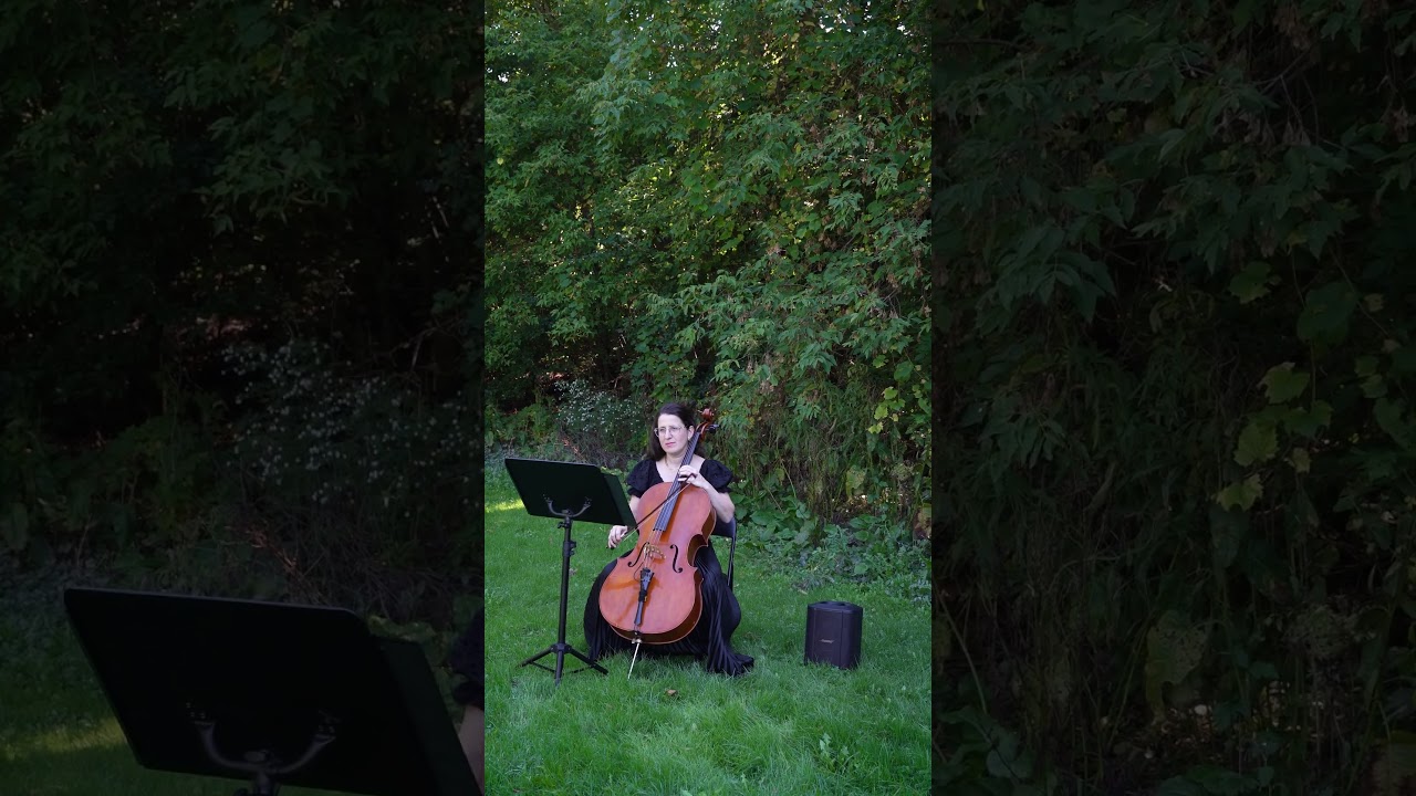 Promotional video thumbnail 3 for Cellist Zaida