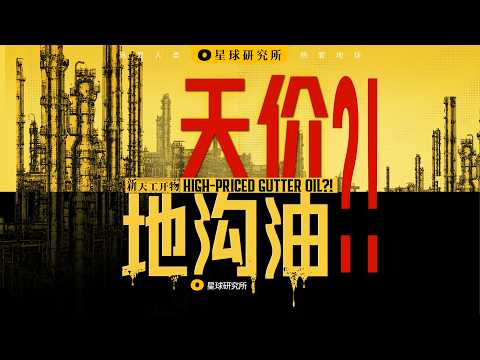 How China Turned Waste Cooking Oil into a Billion-Dollar Industry【4K】