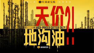 中国的地沟油生意 How China Turned Waste Cooking Oil into a Billion-Dollar Industry【星球研究所】【4K】